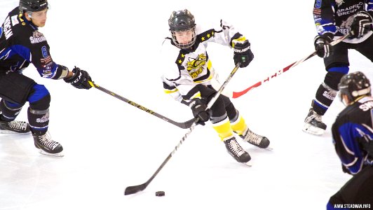 Ice Hockey - Bracknell Bees Vs Sheffield Steeldogs