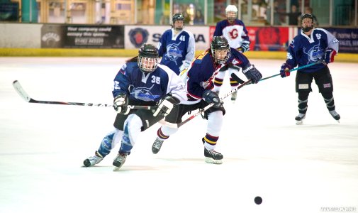 Ice Hockey - Guildford Lightning Vs Sheffield Shadows