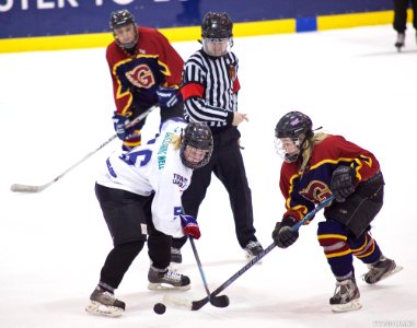 Ice Hockey - Guildford Lightning At Sheffield Shadows