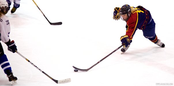 Ice Hockey - Guildford Lightning At Sheffield Shadows