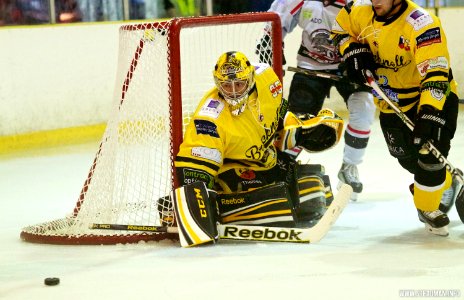 Basingstoke Bison Vs Bracknell Bees