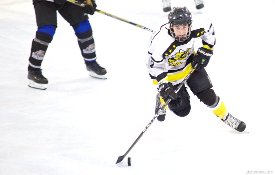 Ice Hockey - Bracknell Bees Vs Sheffield Steeldogs