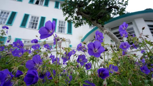 Portmeirion Village Wales