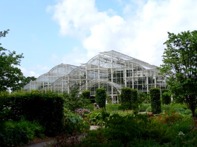 RHS WISLEY GARDENS ENGLAND