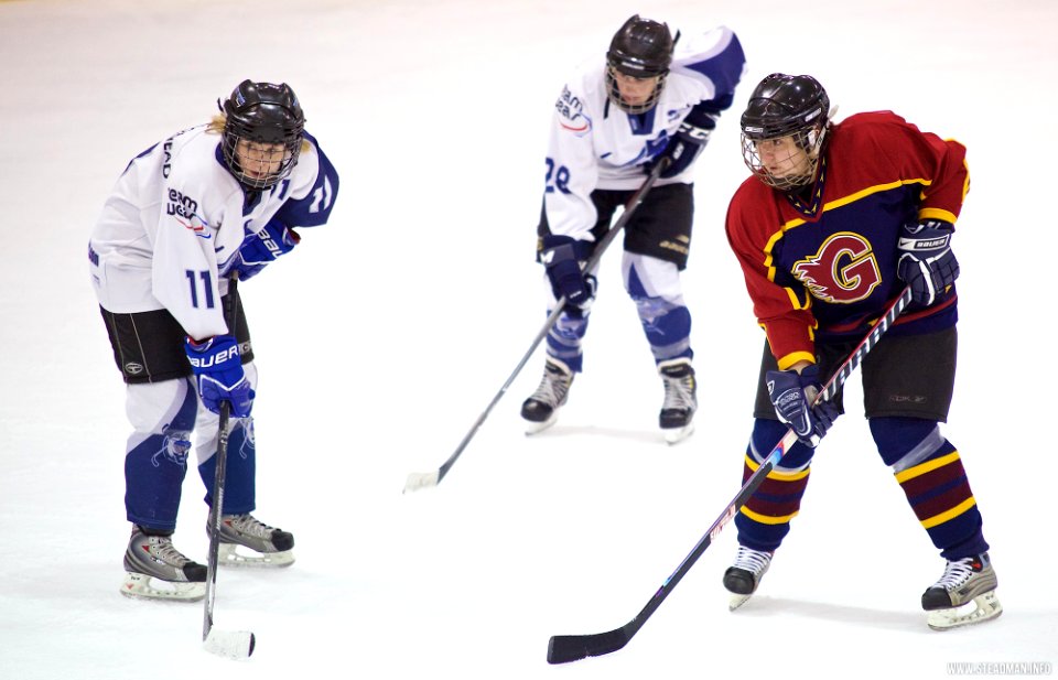 Ice Hockey - Guildford Lightning At Sheffield Shadows