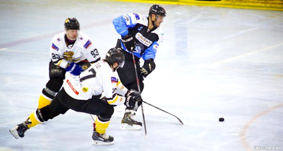 Bracknell Bees Vs Manchester Phoenix