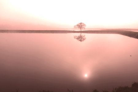5 Cº e neblina...Filtro warmup 85...