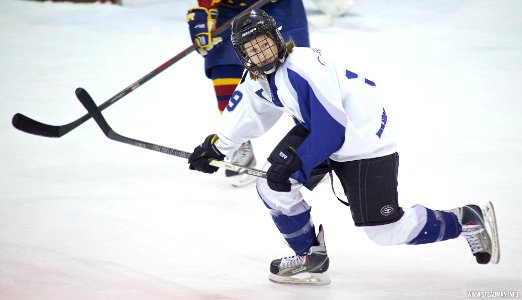 Ice Hockey - Guildford Lightning At Sheffield Shadows