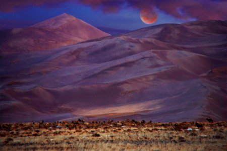 Lunar Eclipse, Star Dune, and Elk photo