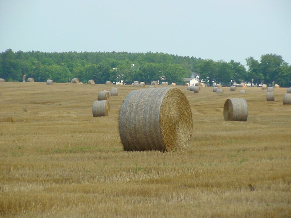 field4
