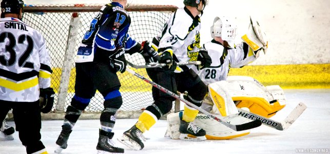 Ice Hockey - Bracknell Bees Vs Sheffield Steeldogs