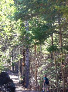 Boy Hiking Mosca Pass, Great Sand Dunes National Preserve photo