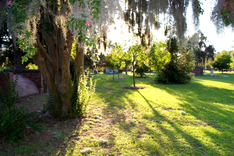 DSC01222