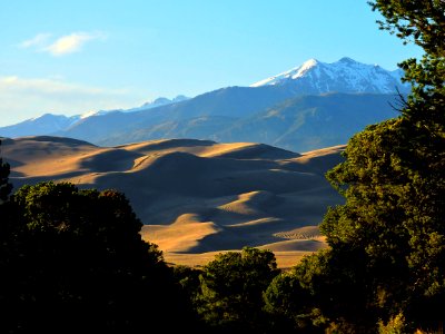 Dunes and Cleveland Peak from Foothills Woodlands photo