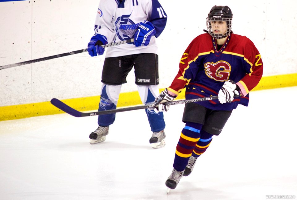 Ice Hockey - Guildford Lightning At Sheffield Shadows