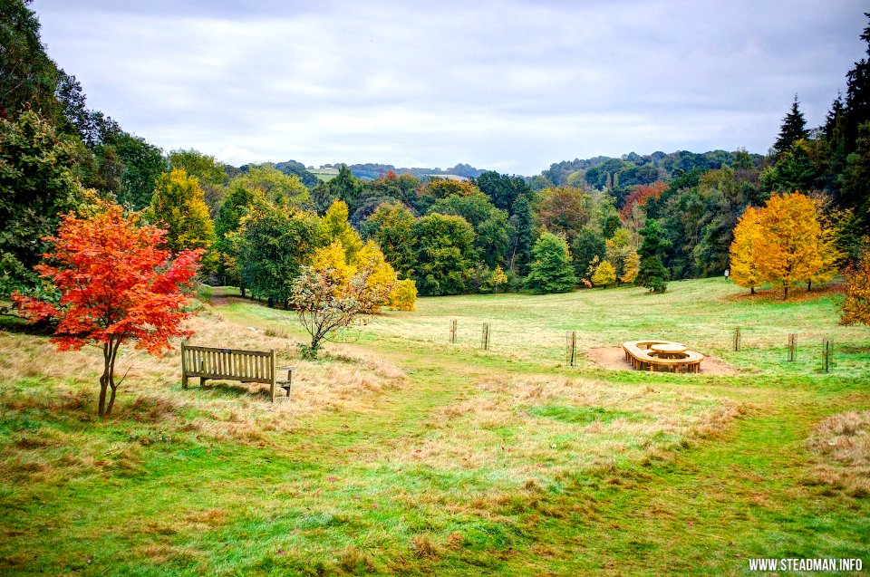 Winkworth Arboretum