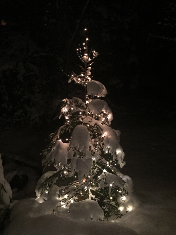 Christmas tree decorations decoration