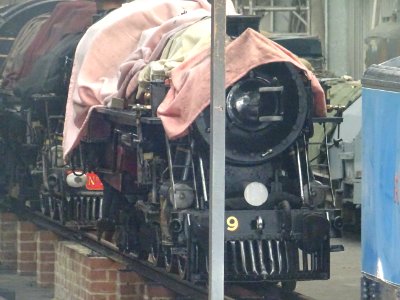 STEAM TRAIN SHED photo