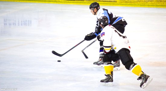 Bracknell Bees Vs Manchester Phoenix