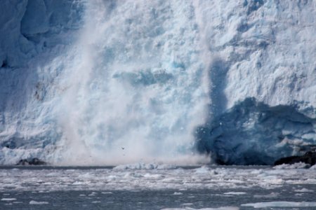 Holgate Glacier calving photo