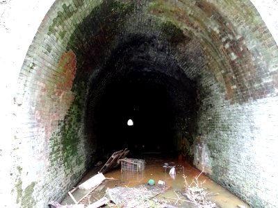 The Grove Hill Tunnel Tunbridge Wells. Flooded former railway tunnel. Note the extra brick lining.