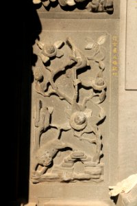 IMG 0238