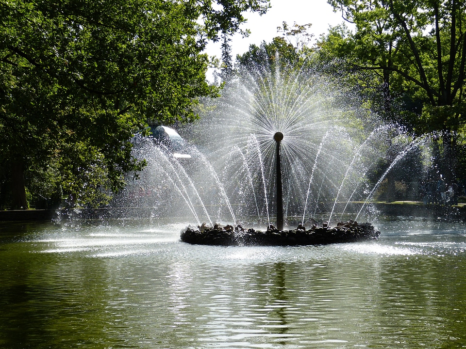 Tourism historically peterhof