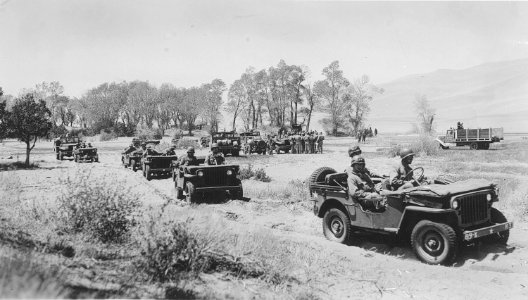 Army Jeeps at Great Sand Dunes, World War 2 photo