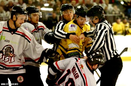 Basingstoke Bison Vs Bracknell Bees