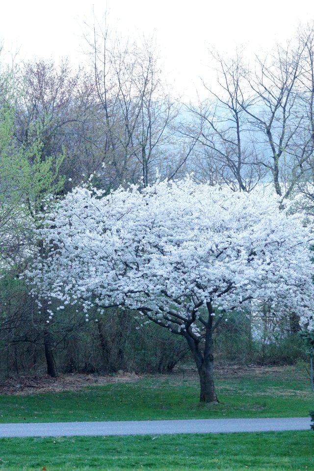 DSC03554