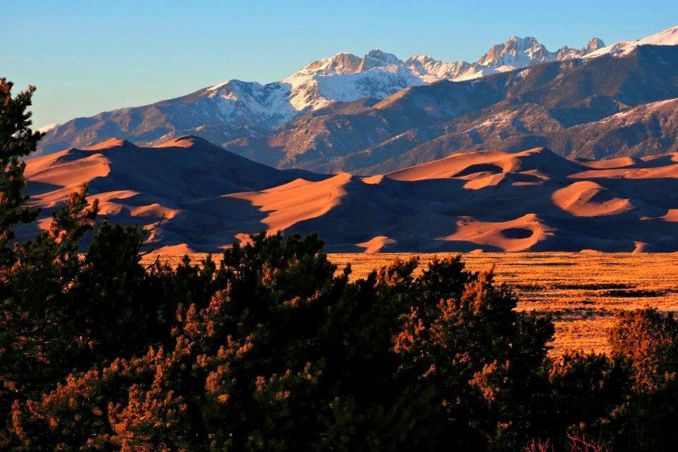 Crestone Peaks, Star Dune, and Pinyon Trees at Sunset