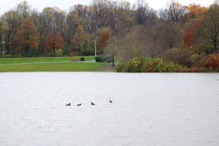 Gunners Lake