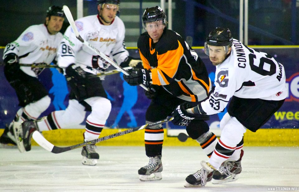 Ice Hockey - Basingstoke Bison Vs Telford Tigers
