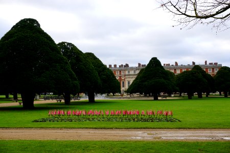 Motion Picture Filming at Hampton Court. It 2 Celsius and the end of November but is ment to be Paris in the Summer. The pink flowers are all... fake! The grass is sprayed green. photo