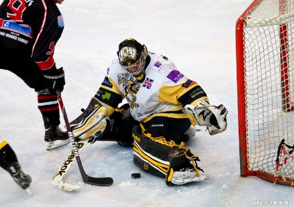 Bracknell Bees Vs Basingstoke Bison