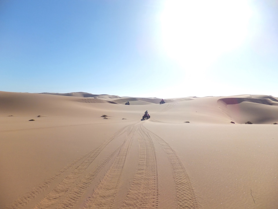 Dune nature exotic