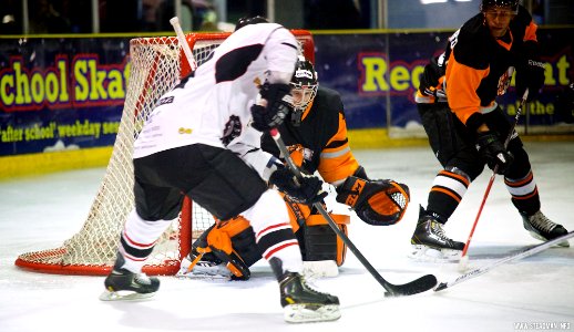 Ice Hockey - Basingstoke Bison Vs Telford Tigers