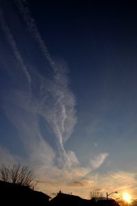 DSC 0524 01