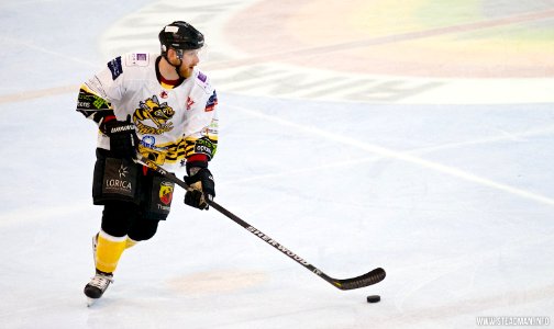 Bracknell Bees Vs Basingstoke Bison
