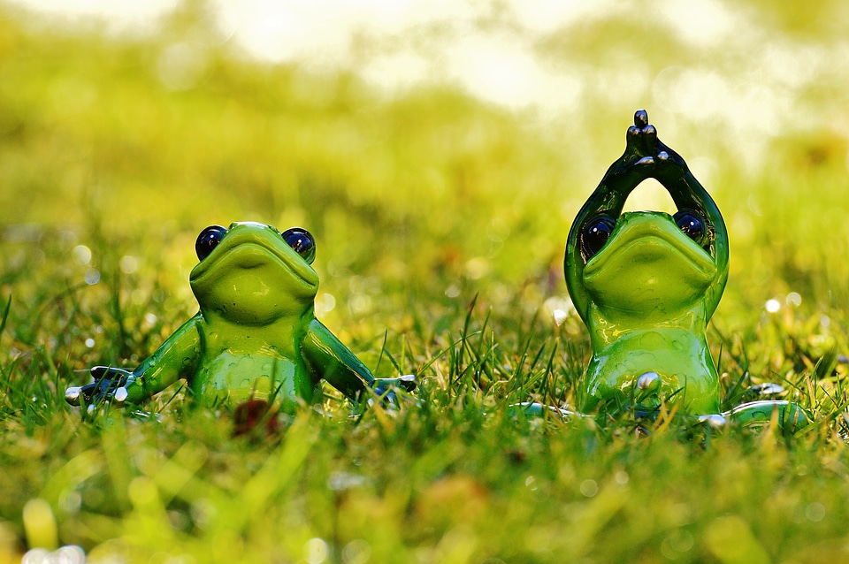 Figure animal green