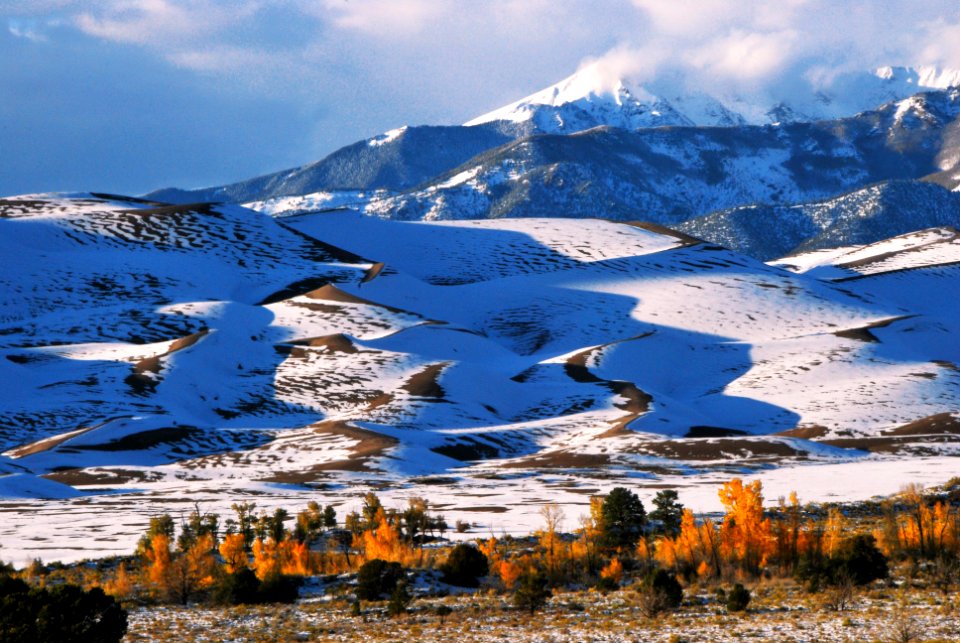 Snowy Dunes, Gold Cottonwoods, Cleveland Peak
