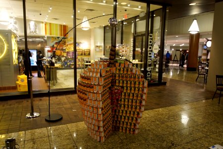  DSC5553