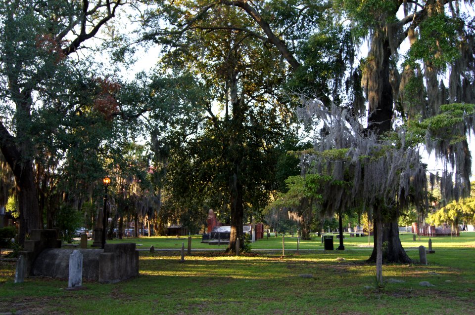 DSC01197