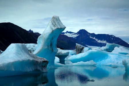 Bear Glacier Bergs 12