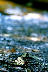 DSC05400