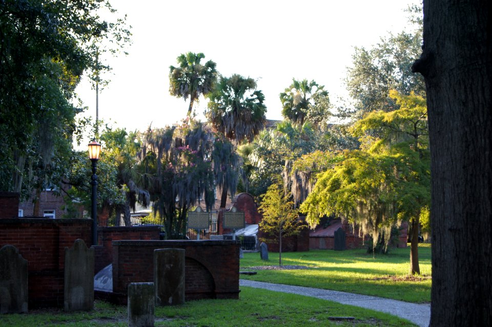 DSC01203