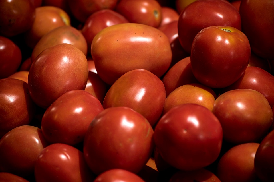 Tomato vegetable food