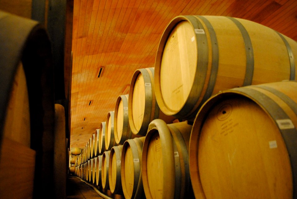 Concha y Toro Barrels