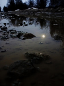 Sun the reflection of the sun puddle photo