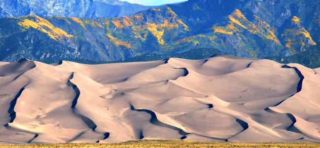 Dune Ridges and Gold Aspens